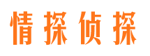 广平市婚姻调查